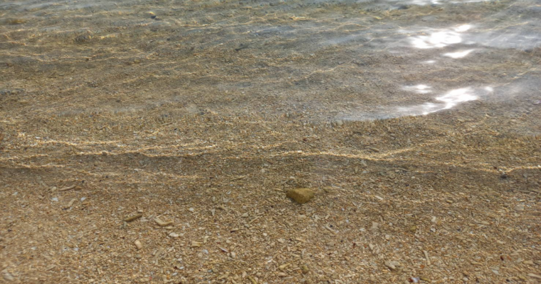 数年ぶりの海～